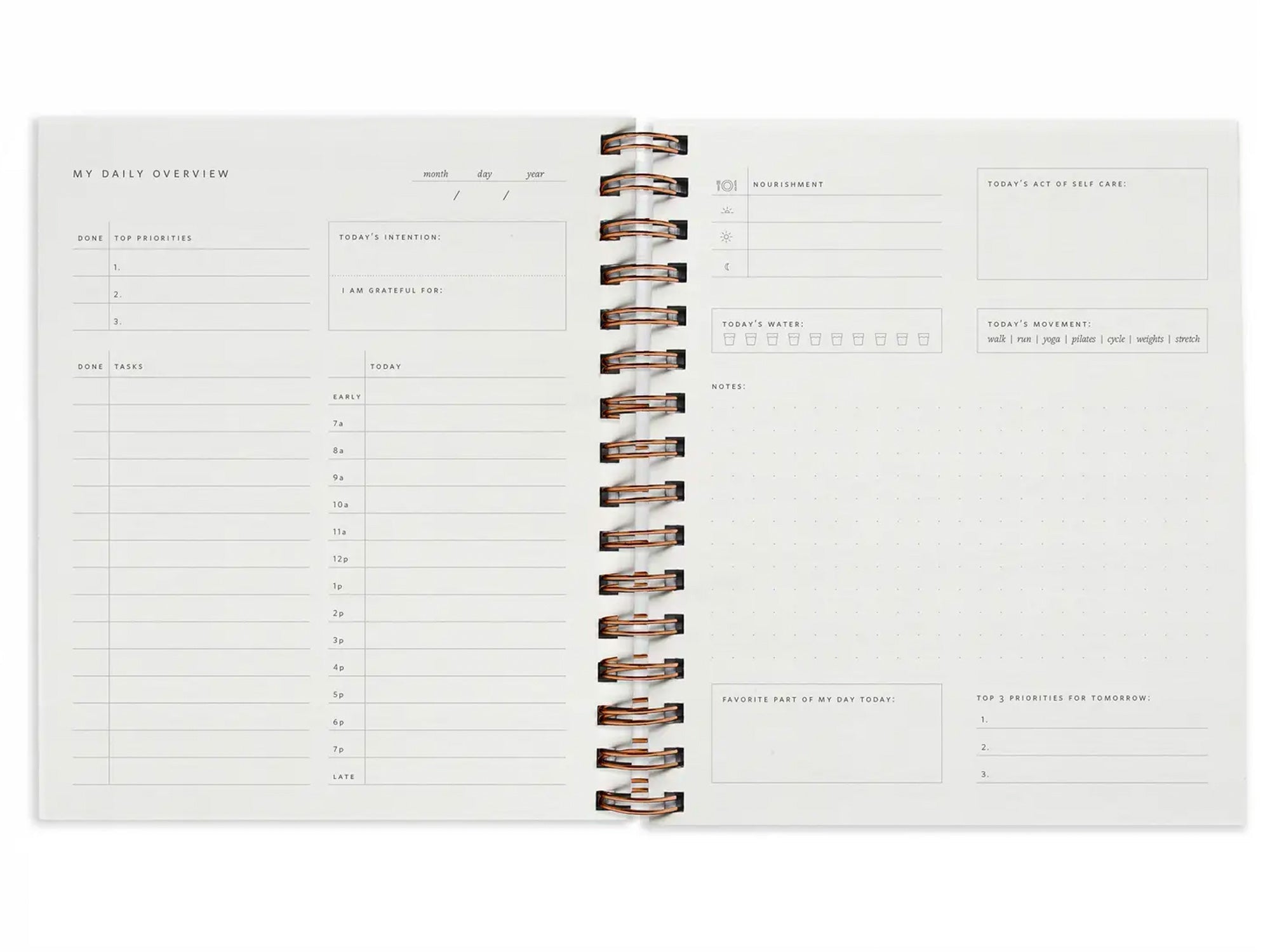 Daily Overview Planner in Floral Party